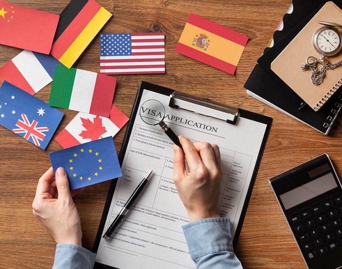 Immigration Consultancy